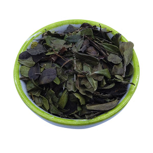 BEARBERRY leaf - Available from 2oz-4lbs